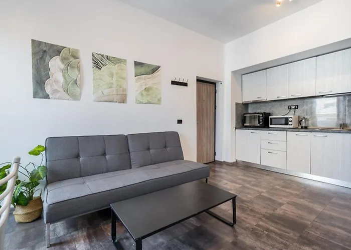 Stylish Monochrome Calea Victoriei Apartament Bucureşti