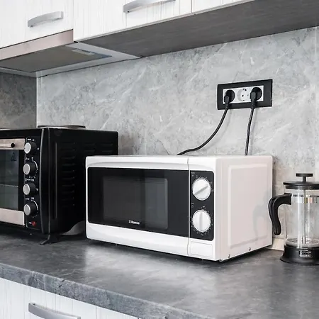 Apartamento Stylish Monochrome Calea Victoriei *