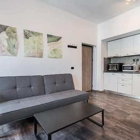 Stylish Monochrome Calea Victoriei Apartamento Bucarest