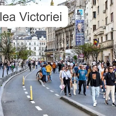 Stylish Monochrome Calea Victoriei Appartement