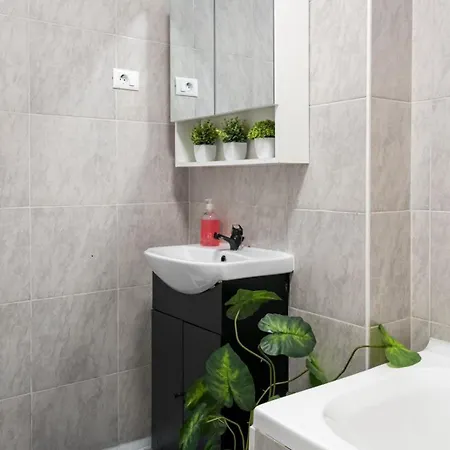 Stylish Monochrome Calea Victoriei Apartamento *