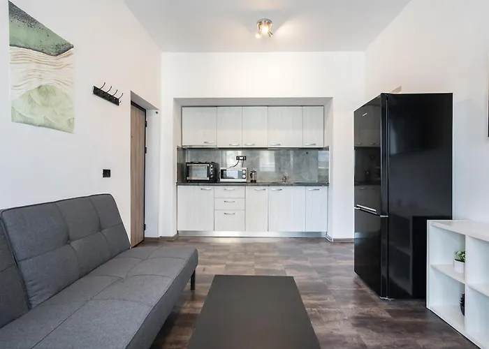 Apartment Stylish Monochrome Calea Victoriei *