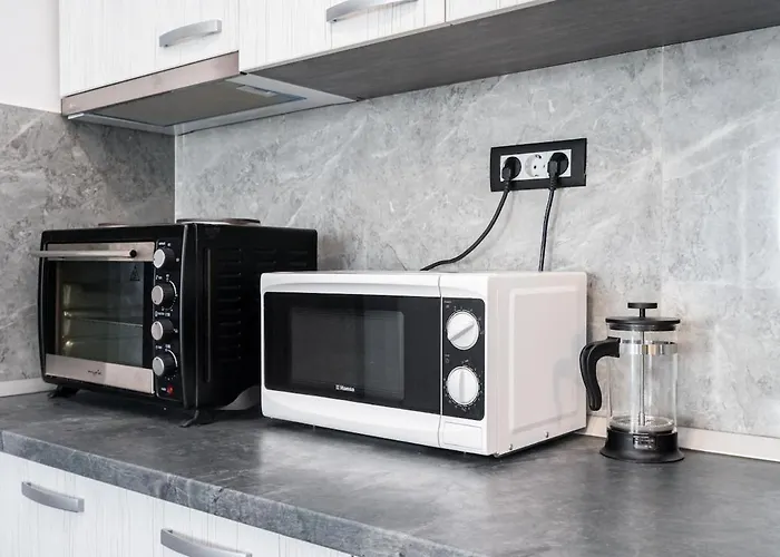 Apartment Stylish Monochrome Calea Victoriei *