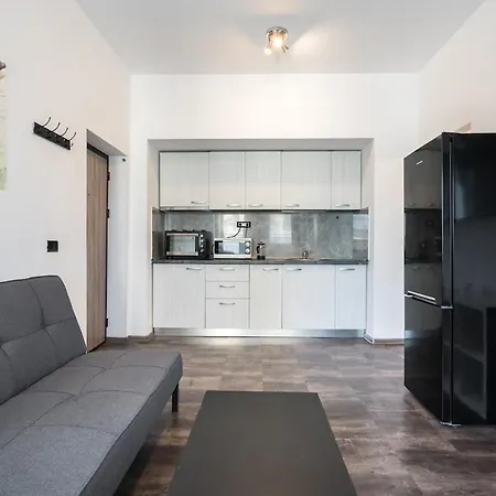 Appartement Stylish Monochrome Calea Victoriei *