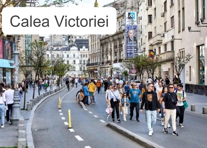 Stylish Monochrome Calea Victoriei Lägenhet